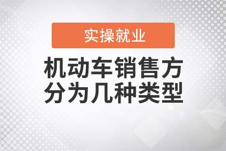 机动车销售方类型解析 聚焦国内贸易代理