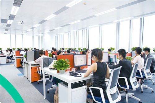 青岛进口香蕉干运输与贸易指南 外贸入门与国内代理全解析