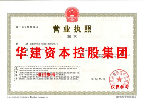 国内贸易代理 助力企业高效拓展市场的重要桥梁